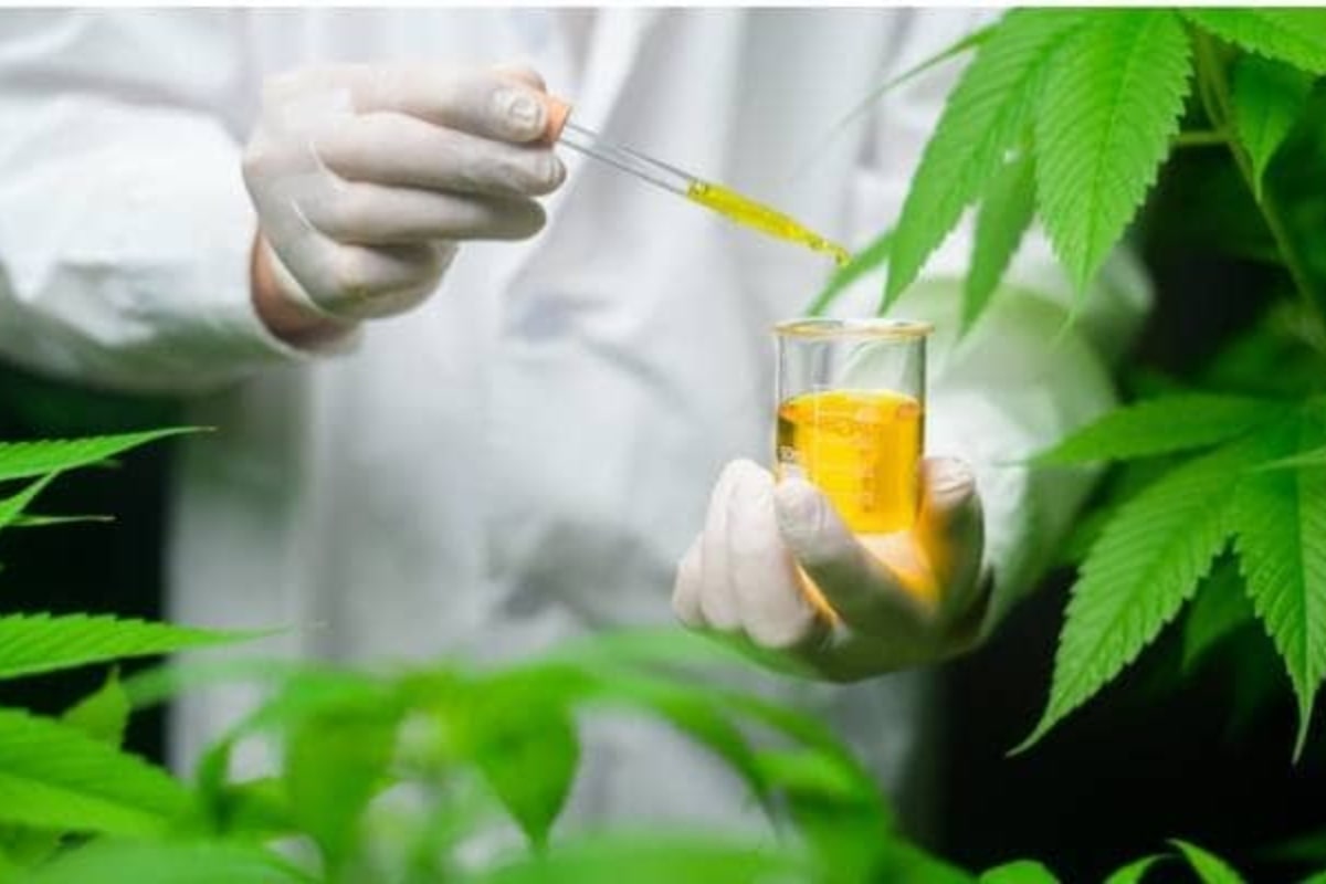 CBD and Drug Tests: Passing After CBD Use